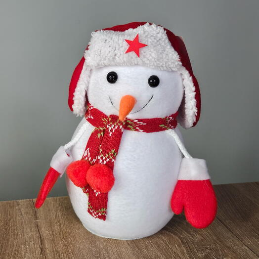 Яркий снеговичок
