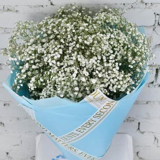 Bouquet of 15 white gypsophila in a package