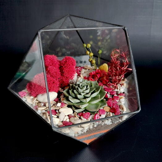 Флорариум "Сердце пустыни"