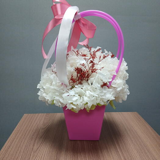 Стабилизированная гортензия