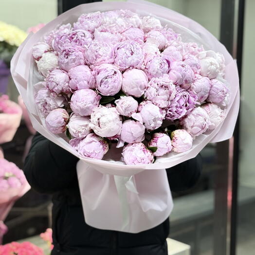 Пион 51 Сара