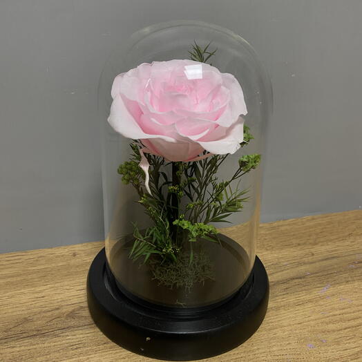 Стабилизированная розовая роза