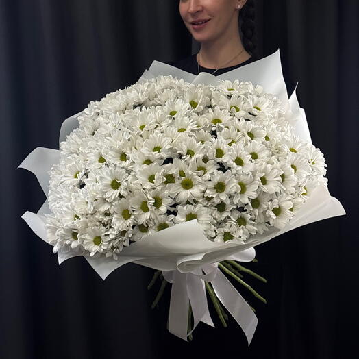 Хризантемы кустовые «Ромашка», 25 штучек