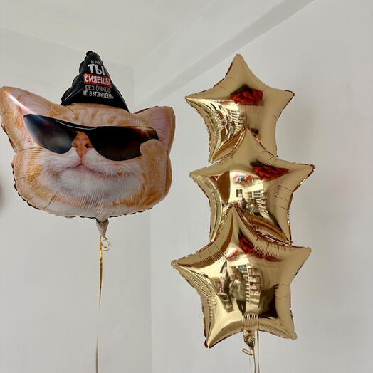 Шарики с котиком « ты сияешь без очков не взглянешь»