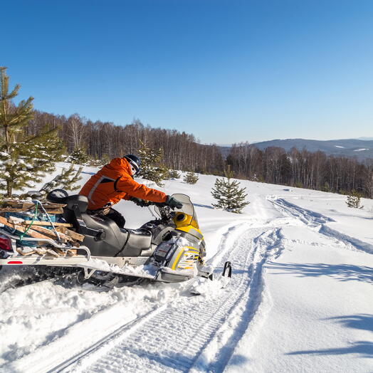 Подарочный сертификат «Волшебный бор для двоих на снегоходе» (1 час 30 минут, От 1 до 2 чел.)