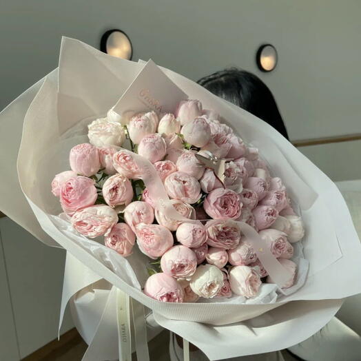 Mansfield park S size