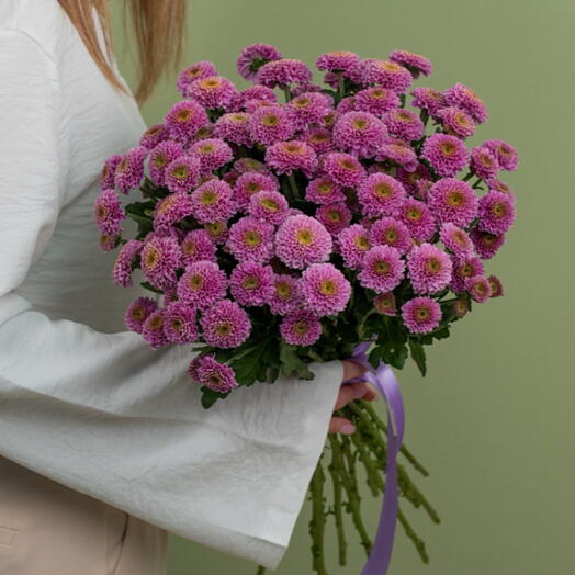 15 фиолетовых сантини