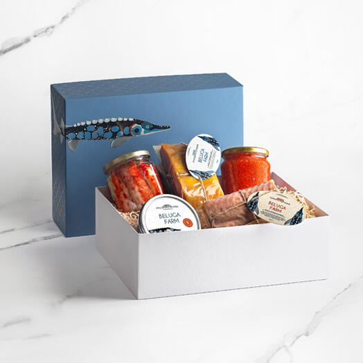 Большой набор в синем коробе Вариант 2