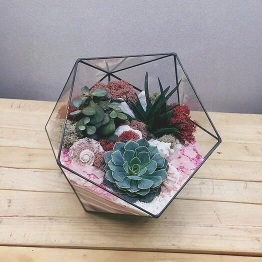Икосаэдр XL (23х20) Удивление