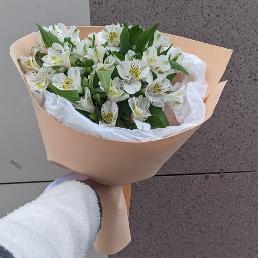 Белая альстромерия