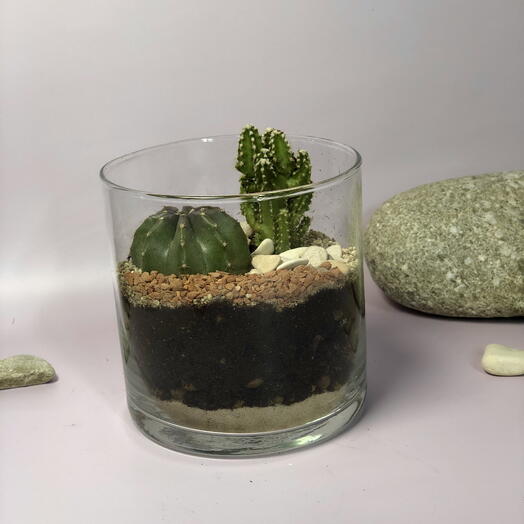 Флорариум с кактусами Пустынные истории в подарок