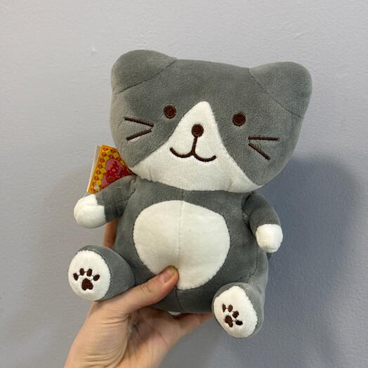 Котик