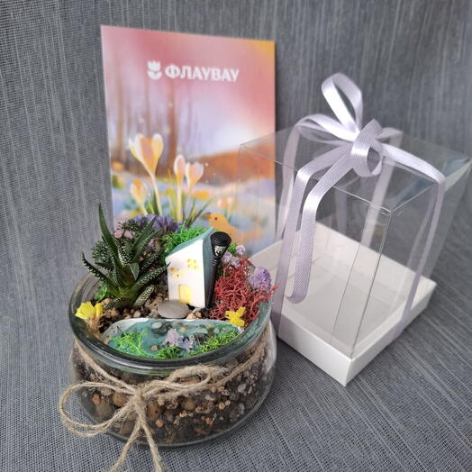 Цветы на день рождение-  супер мини флорариум с хавортией