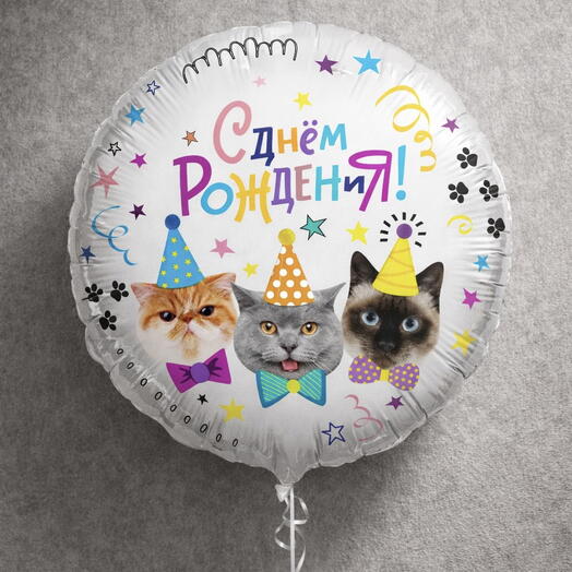 Фольгированная фигура, воздушный шар с котиками на День Рождения