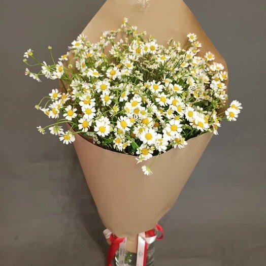Кулёк с ромашкой