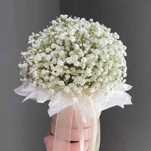 Цветы в Шляпной Коробке Гипсофила White