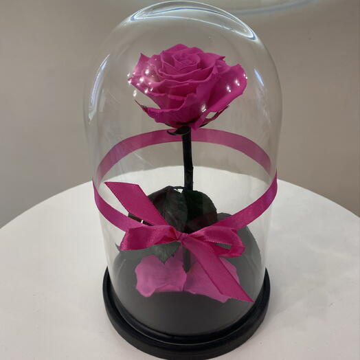 Роза в колбе rosy