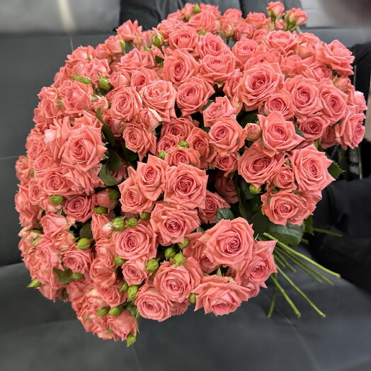 Роза кустовая Барбадос 51