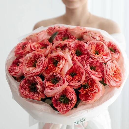 Коралловая королева -21 Роза 🌸