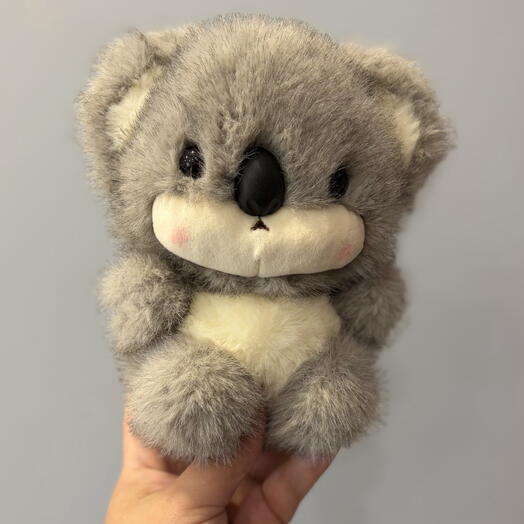 Коала 🐨