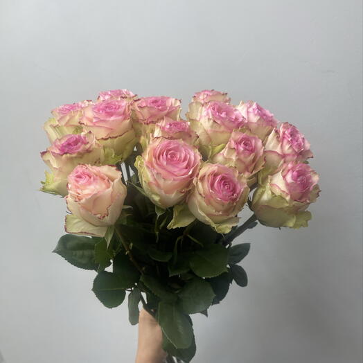 Роза Эсперанса 15 шт