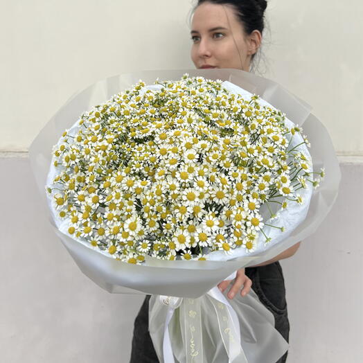 Ромашковый рай ️ шикарный монобукет из ромашек