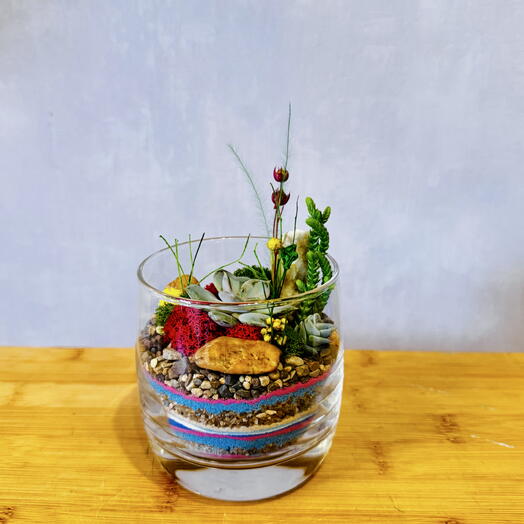Florarium "Mini" en un vaso