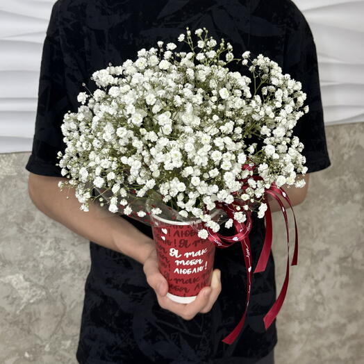 Стаканчик Гипсофилы