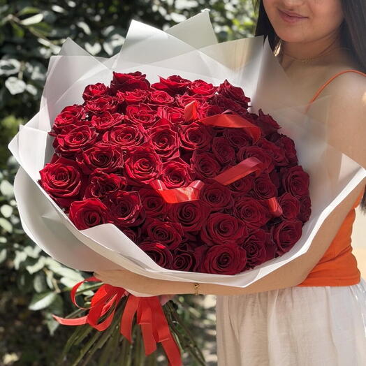 Роза эквадор красная 51🌹