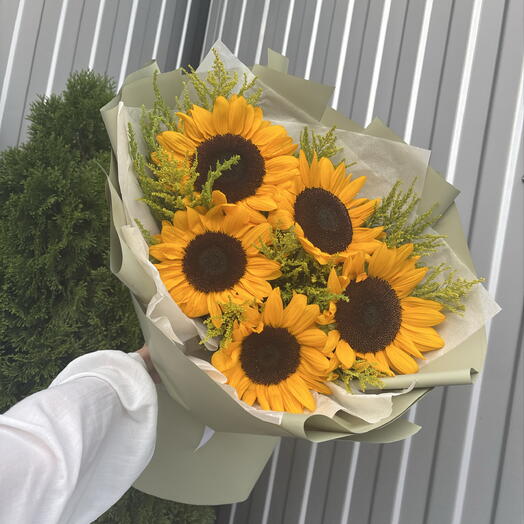 Подсолнух 🌻