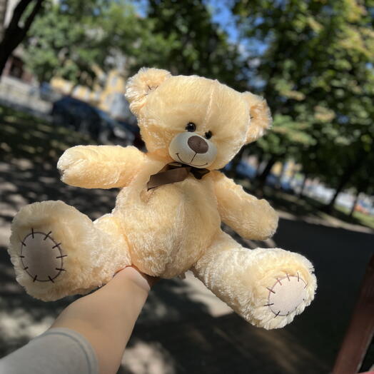 Лимонный медведь