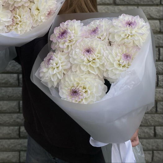 Букет из 7 георгинов 💗