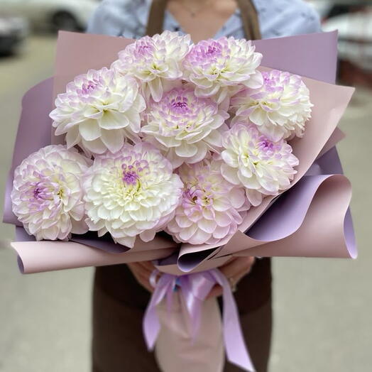 Георгины 9