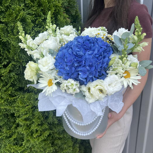 Коробка с гортензией 💐