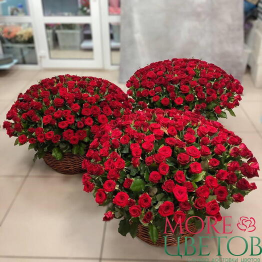 Корзина из 501 розы