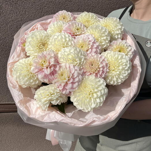Монобукет из 19 георгин