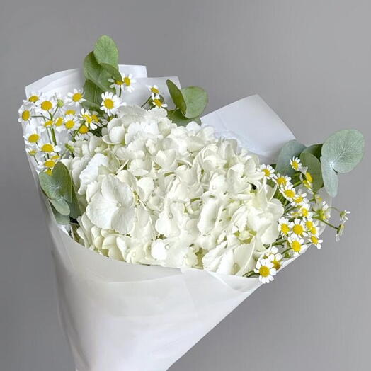 Букет Школьный 6 (Гортензия, Танацетум)