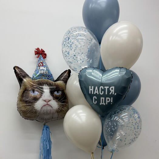 Воздушные шары на День Рождения «Недовольный кот»