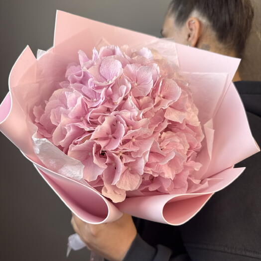 Гортензия 💗