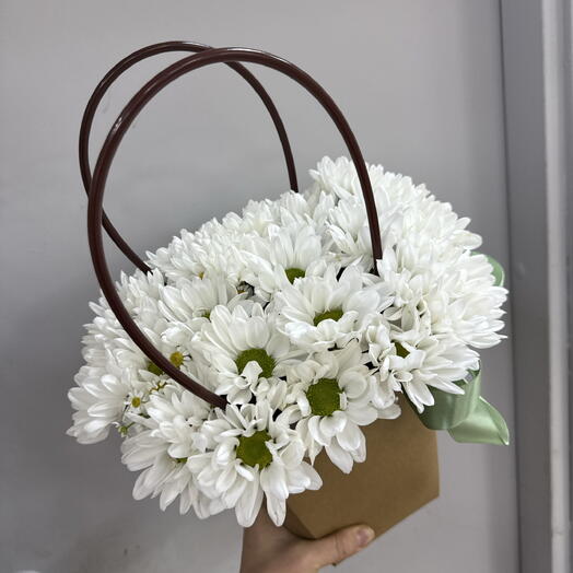 Ромашковая поляна