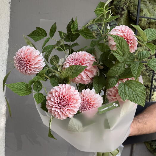 Георгины и малина 🌿