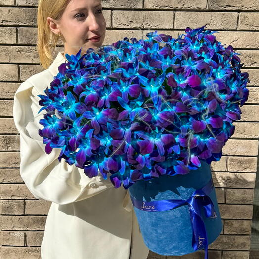 Цветы в коробке космос из орхидей. Композиция 598. Leora Flowers дом цветочной моды