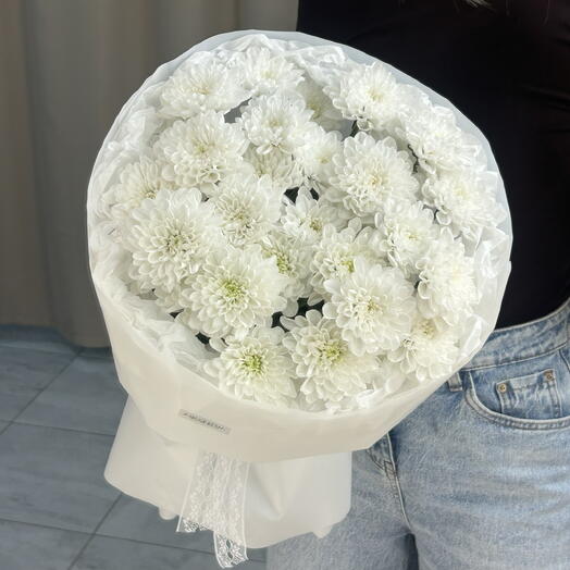 Fluffy Chrysanthemum