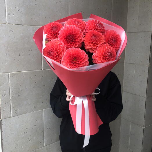 Георгины 🌺🌺🌺🌺🌺