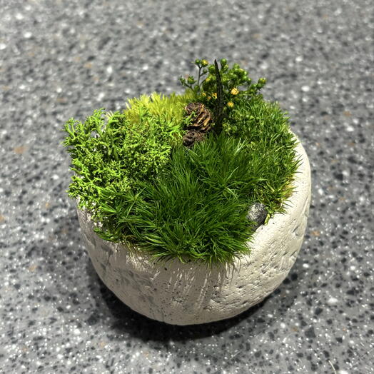 Кусамоно в кашпо🌱