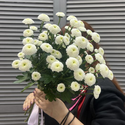 Хризантемы "Сантини" 🥰