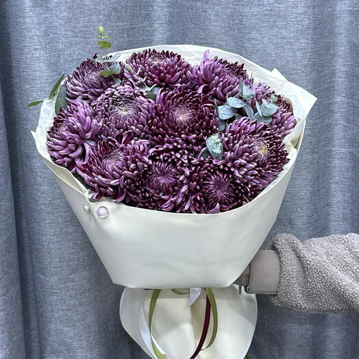 Хризантема Бигуди 💜 с ароматным эвкалиптом 🌿