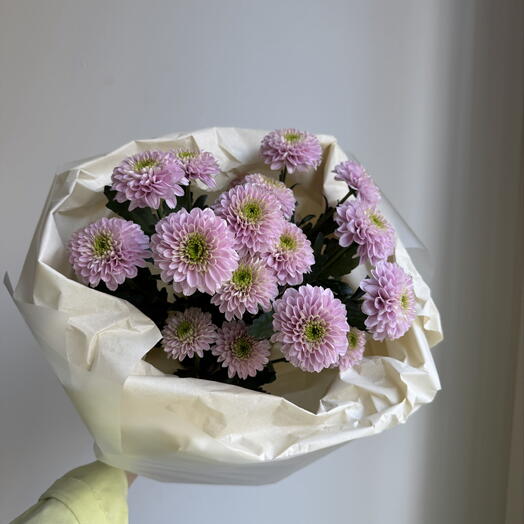 Моно букет из кустовой хризантемы🌸