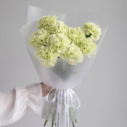 Букет из сортовых зеленых диантусов (9 шт.) от XOFLOWERS