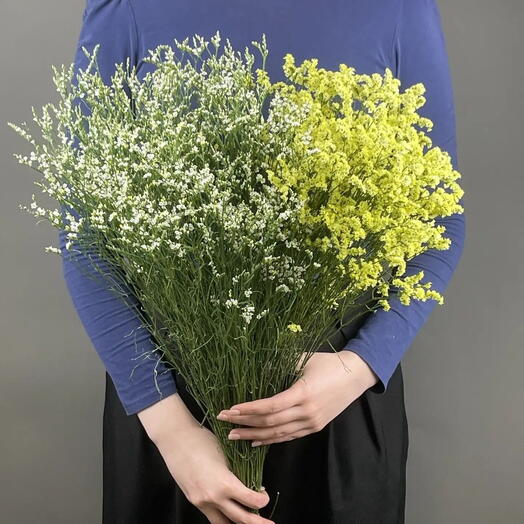 Пачка Лимониум микс ( желтый 10 шт, белый 10 шт) , 20 шт